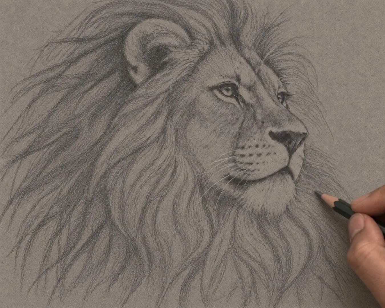 Module 2: Transfer The Lion Outline Cleanly, Even If You Can't Draw